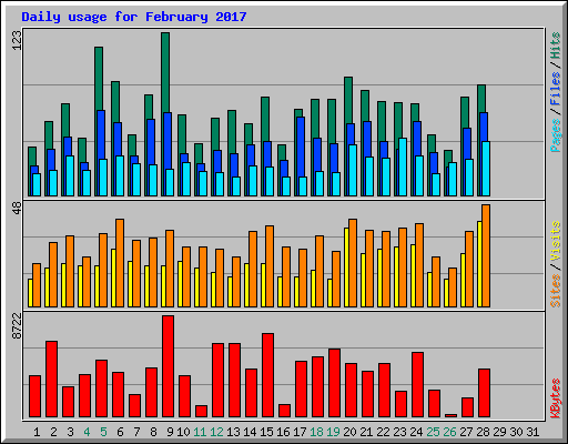 Daily usage for February 2017