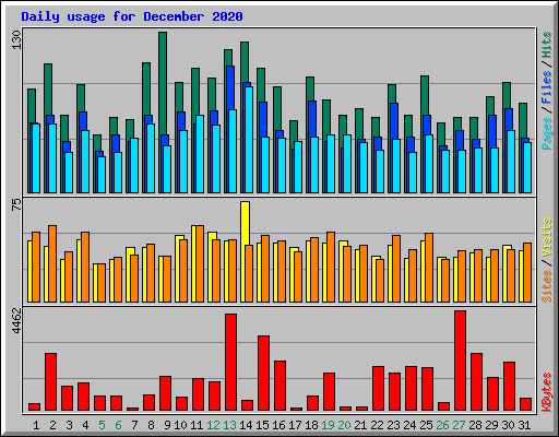 Daily usage for December 2020