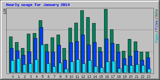 Hourly usage for January 2014