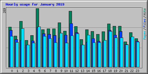 Hourly usage for January 2019