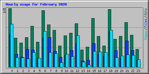 Hourly usage for February 2020
