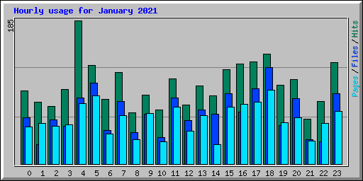 Hourly usage for January 2021