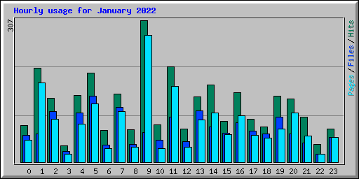 Hourly usage for January 2022