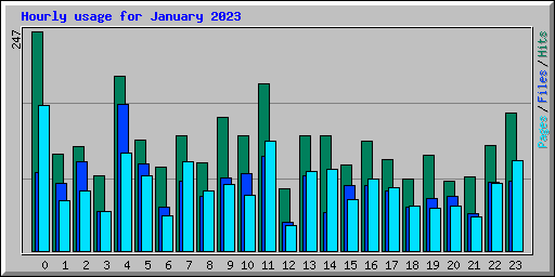 Hourly usage for January 2023