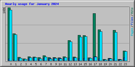 Hourly usage for January 2024